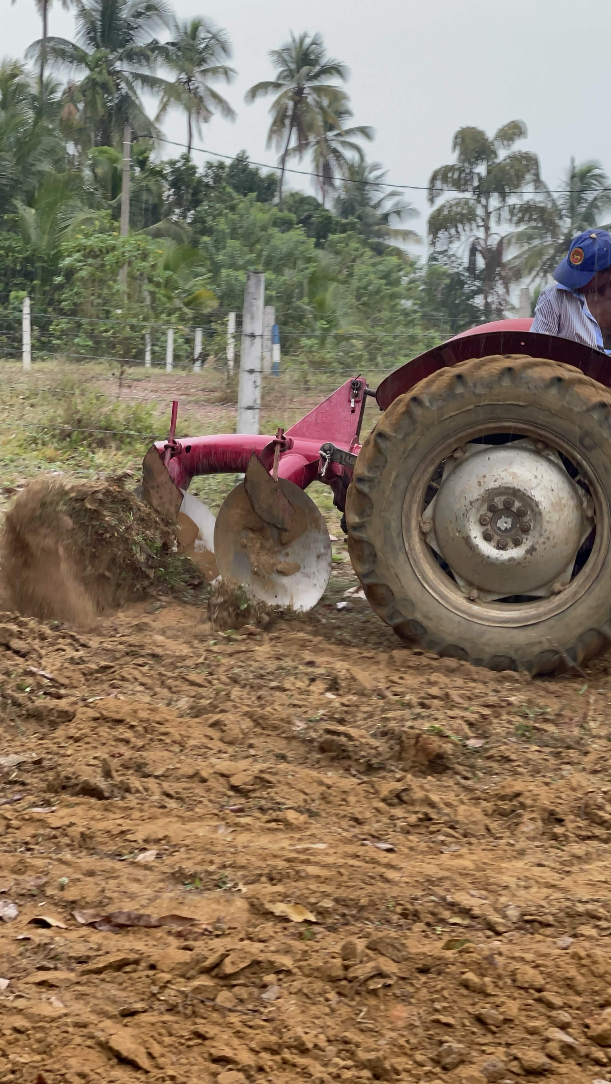 Cassava Deep Soil Tilling