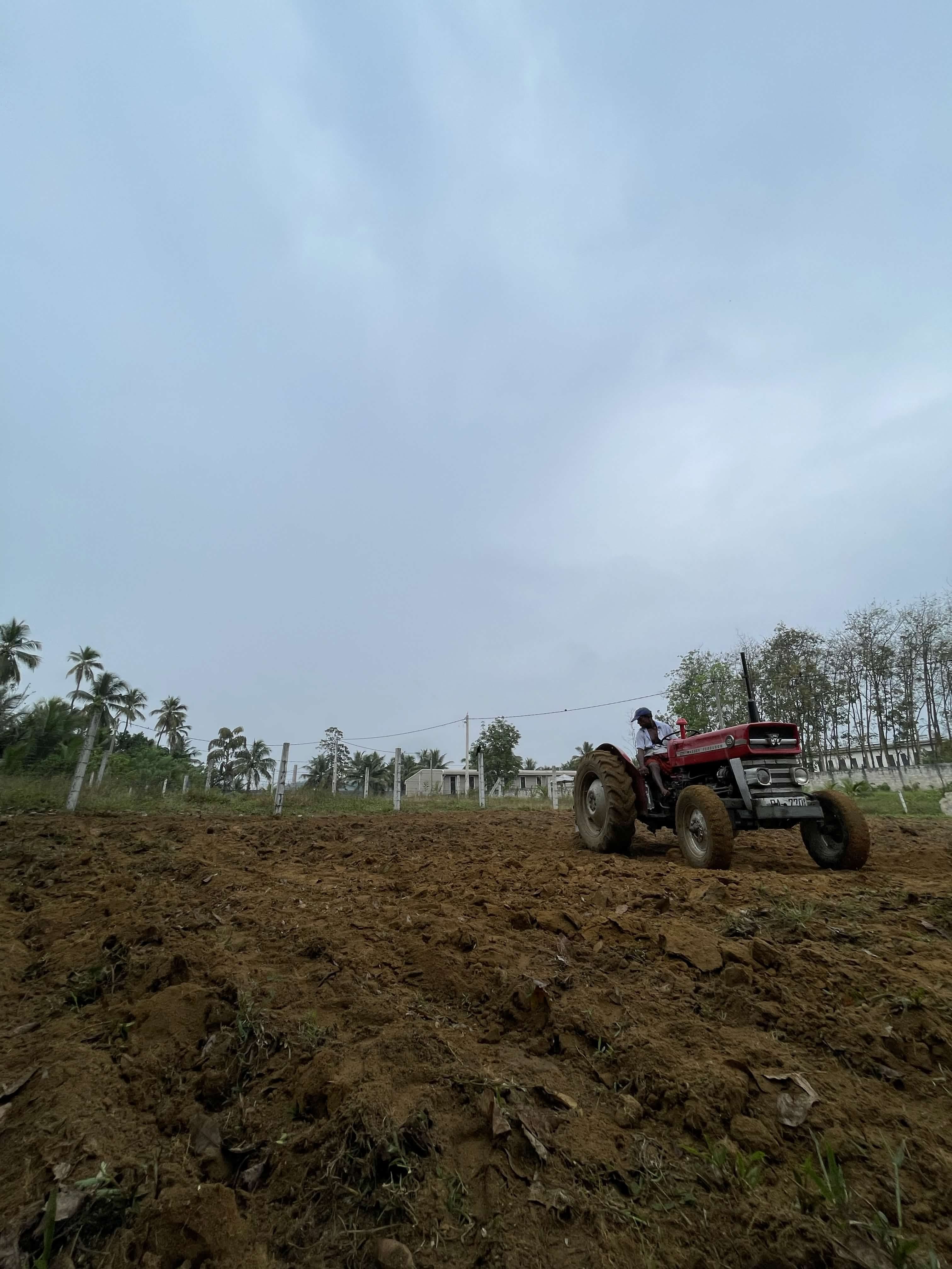 Cassava Farmland Fifth Image